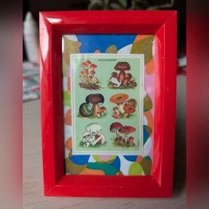 Mushroom Collage, Red Frame